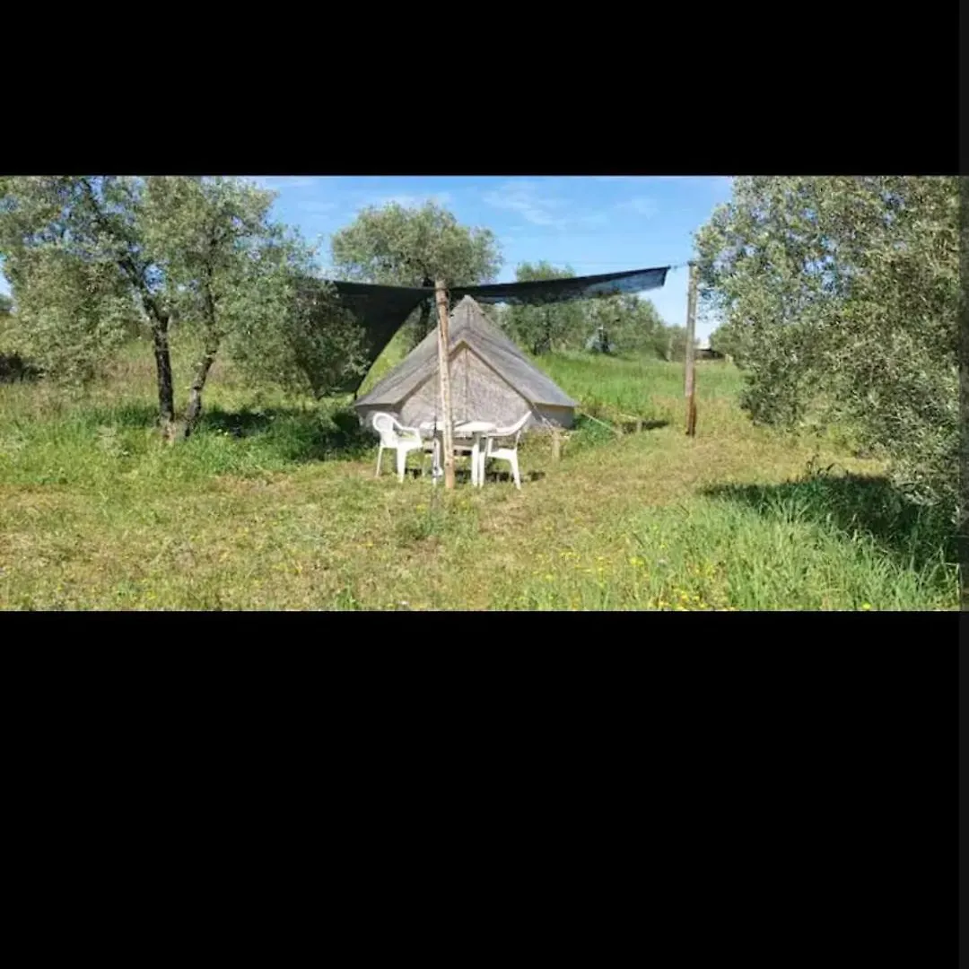 Tienda Acogedora Con Piscina 