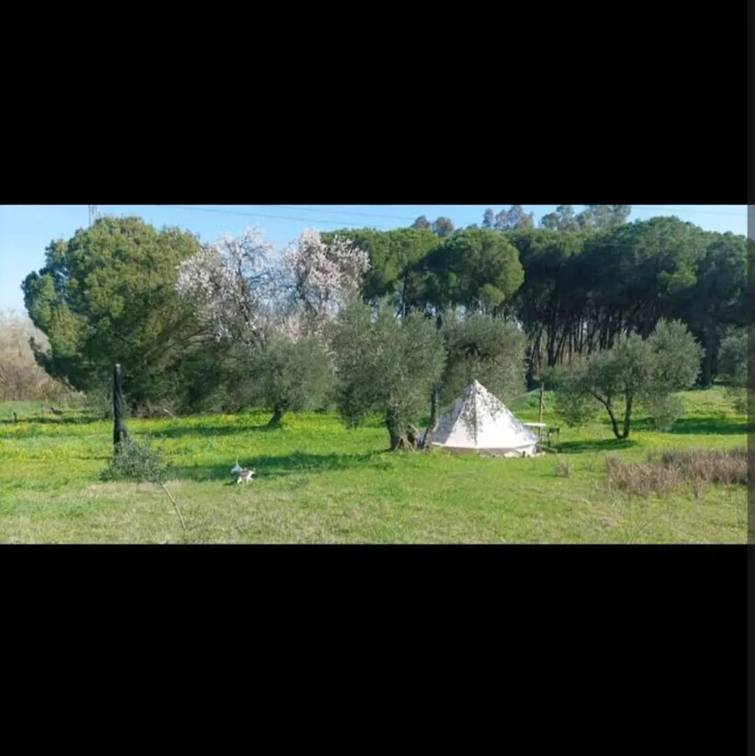 Luxury tent Tienda Acogedora Con Piscina 
