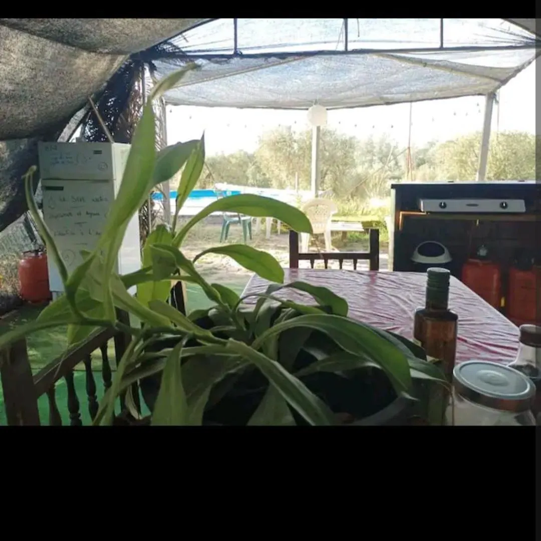 Tienda Acogedora Con Piscina 